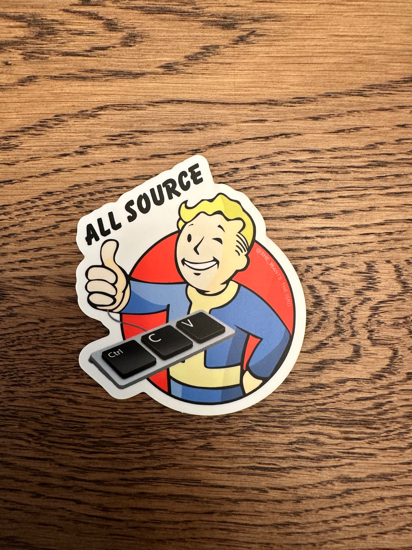 All Source Vault Boy