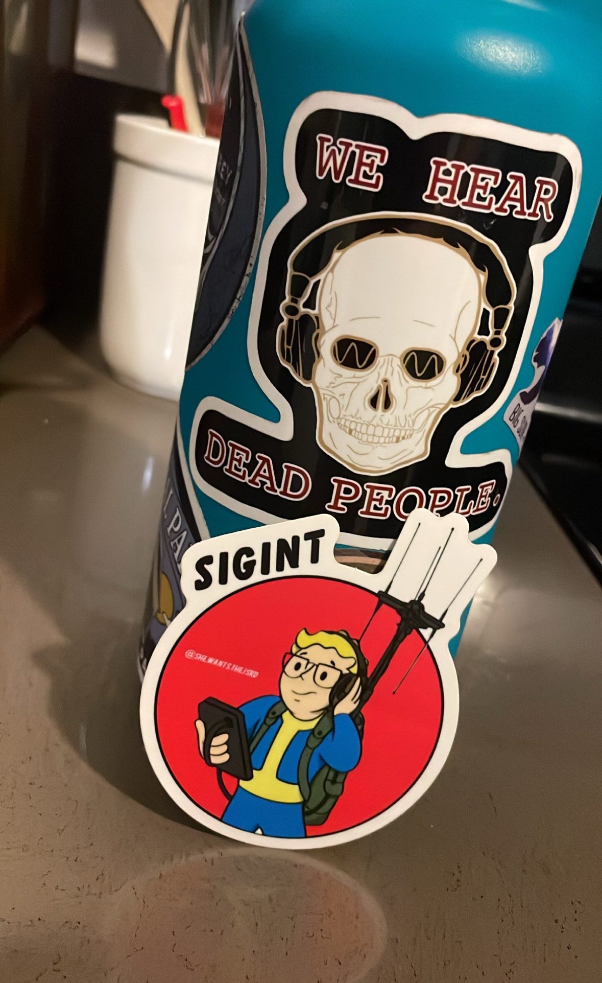 SIGINT Vault Boy