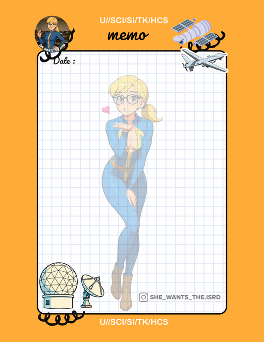 Vault Girl Jane Memo pad